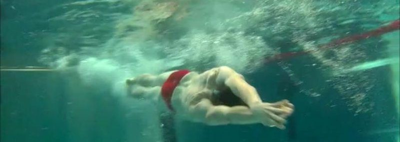 SV Rotation Halle e.V.