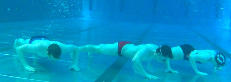 SV Rotation Halle e.V.